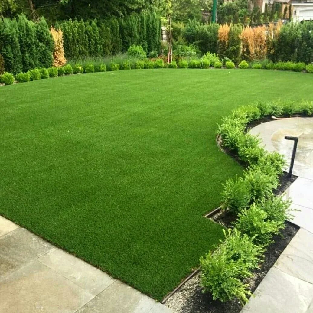 Clean, curved lawn edges — lawn and landscape photo