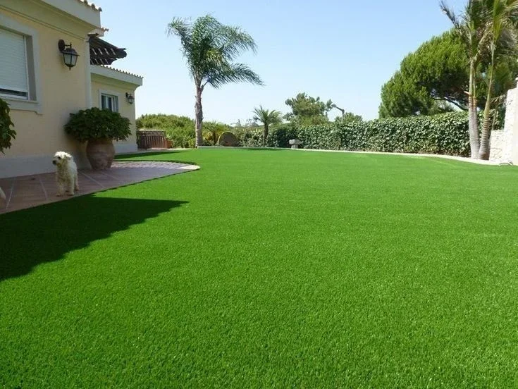 A tidy lawn beside the patio — lawn and landscape photo
