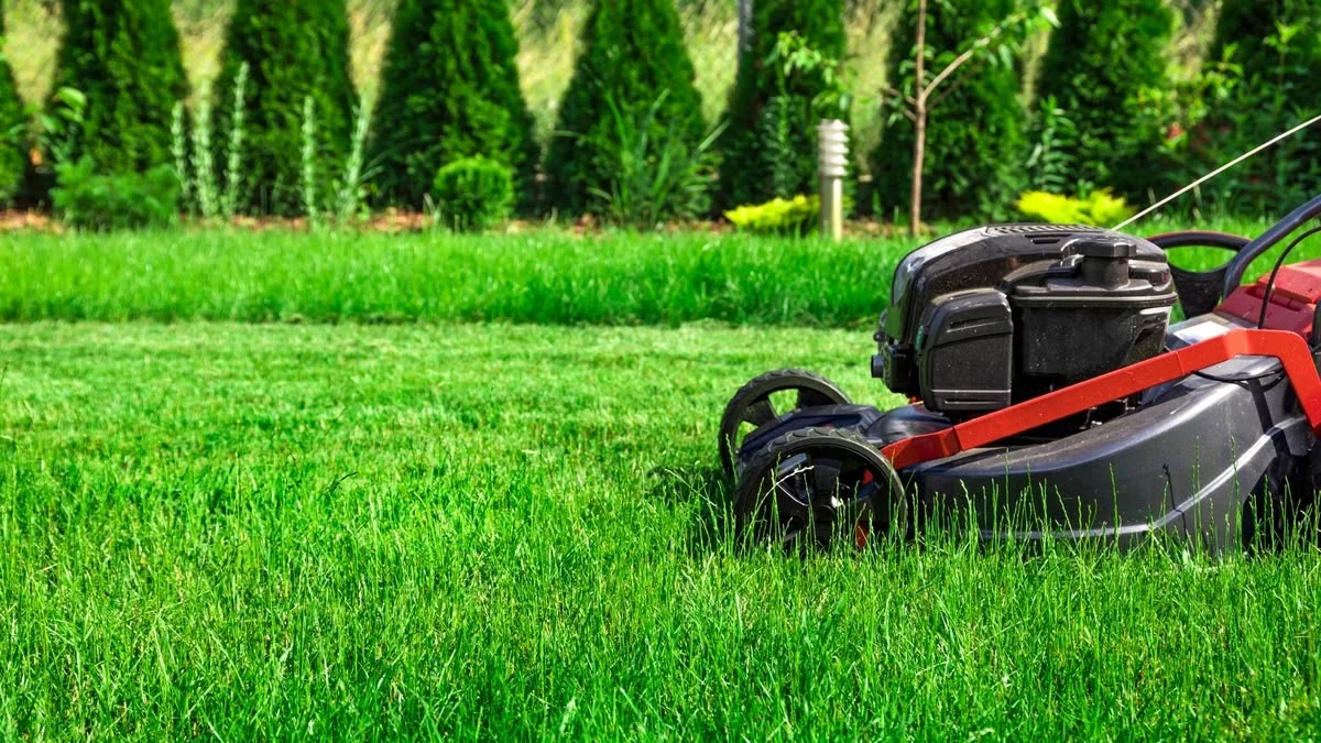 Mowing in progress — lawn and landscape photo