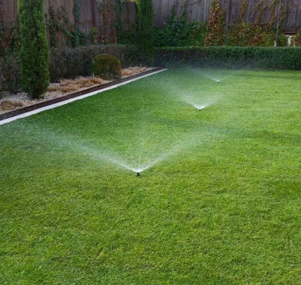 Healthy, well-watered turf — lawn and landscape photo