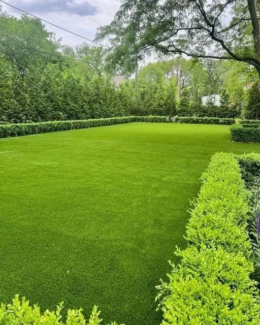 Clean boxwood borders around the lawn — lawn and landscape photo