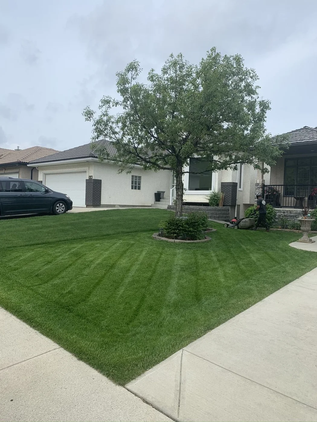 Front-yard mowing in progress — lawn and landscape photo